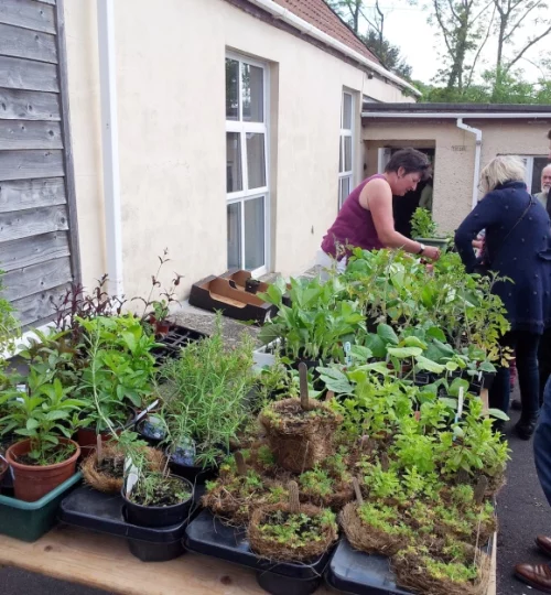 2013 Plant Sale at the Village Hall