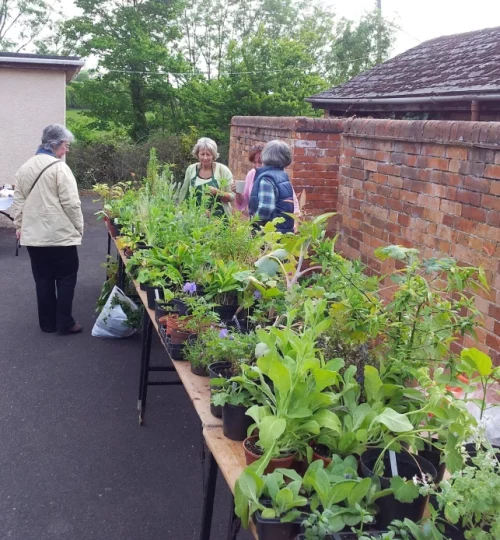 2013 Plant Sale at the Village Hall