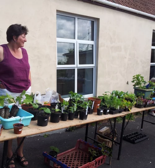 2013 Plant Sale at the Village Hall