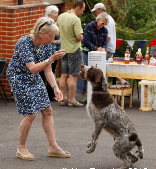 Moorlinch Summer Fete 2015