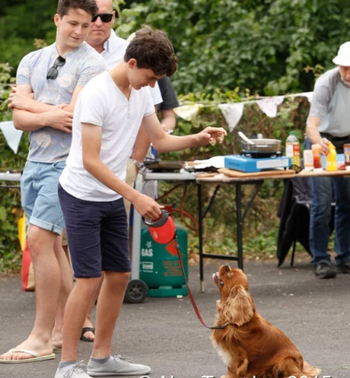 Moorlinch Summer Fete 2015