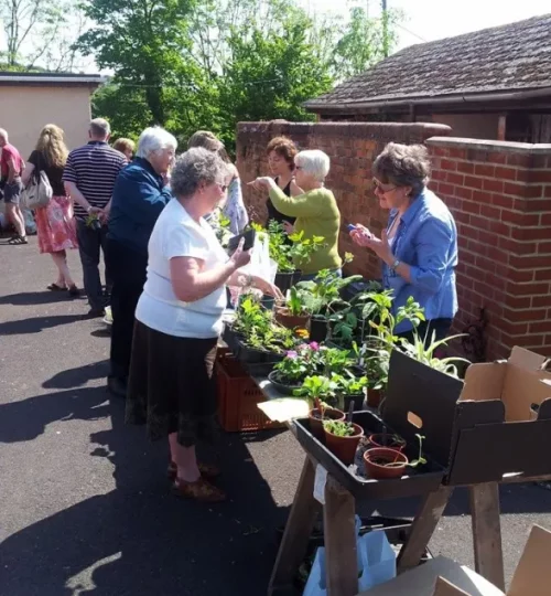 2014 Plant Sale at the Village Hall