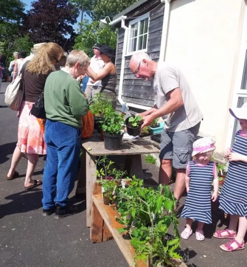 2014 Plant Sale at the Village Hall